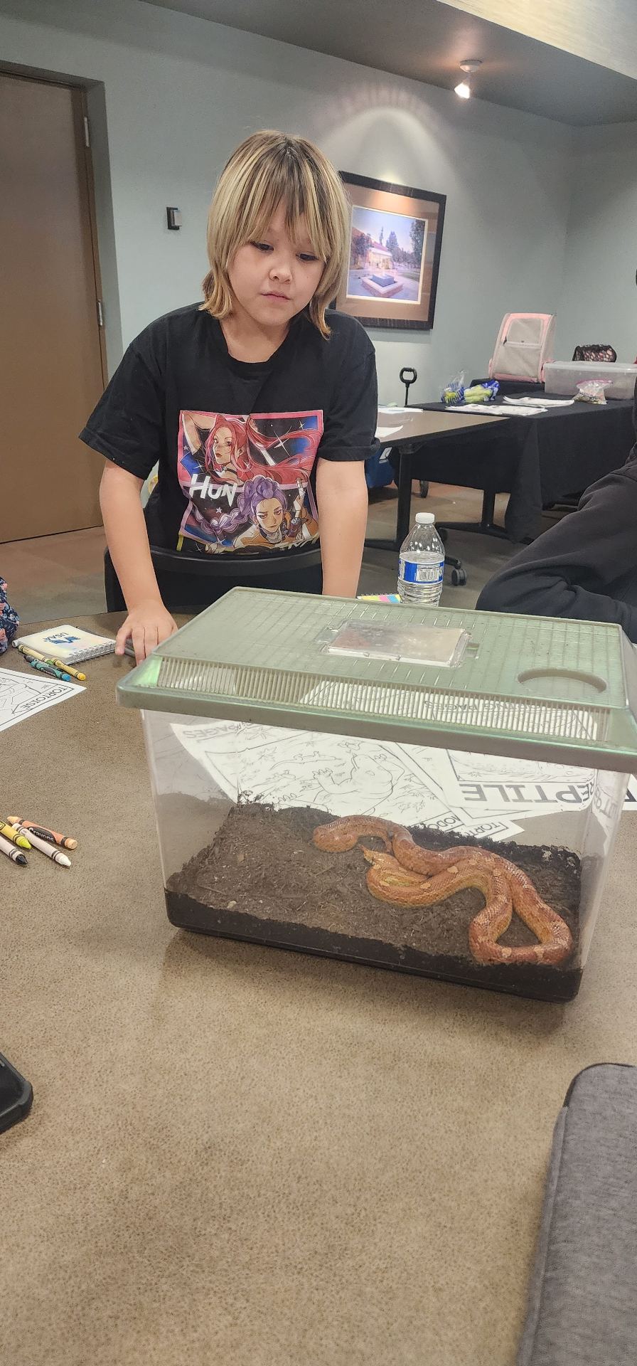 A young student leaning in to observe a corn snake in its terrarium.