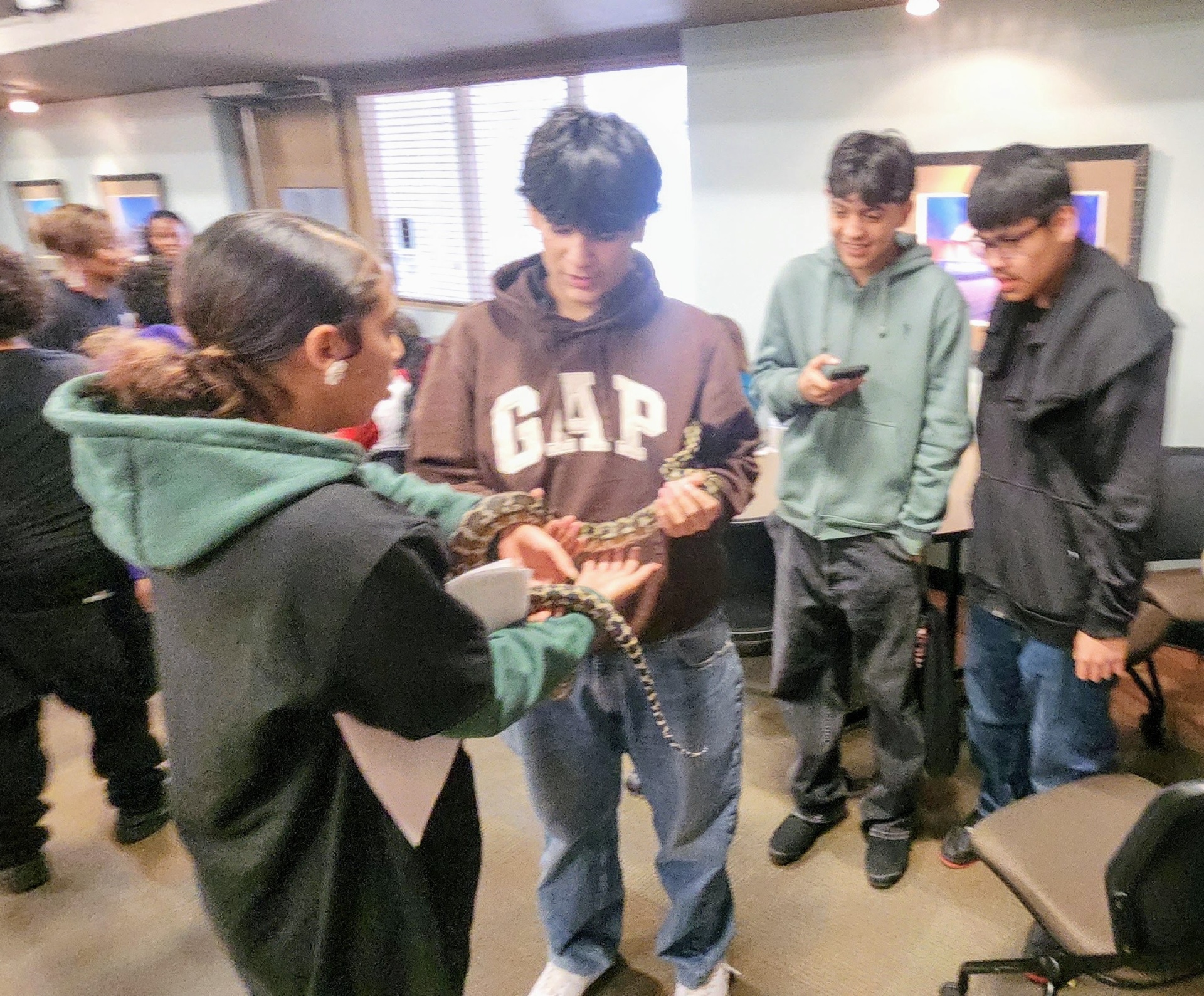 Students carefully passing a snake between hands during a hands-on lesson.
